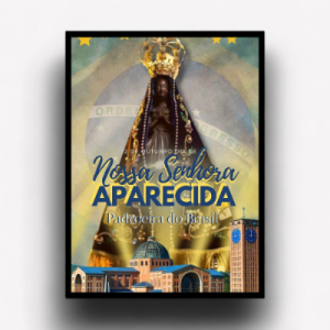 Quadro Decorativo "Nossa Senhora Aparecida"