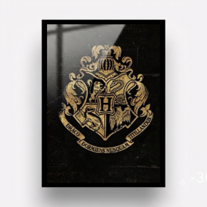 Quadro Decorativo Draco "Harry Potter"