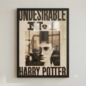 Quadro Decorativo Harry Potter "Indesejável"