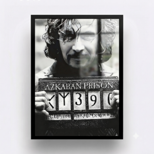Quadro Decorativo Sirios Black "Harry Potter"